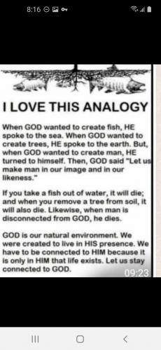 Screenshot_20230828-081644_Facebook