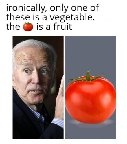 370541251_326323086569334_107207447983356237_n