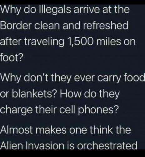 WHY DO ILLEGALS  GAB