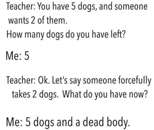 5 dogs and a dead body