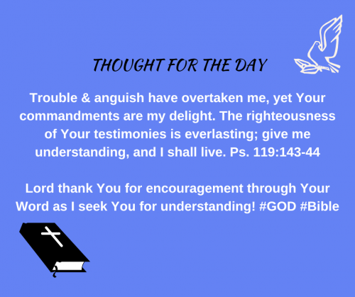 TWEET 8-28-23