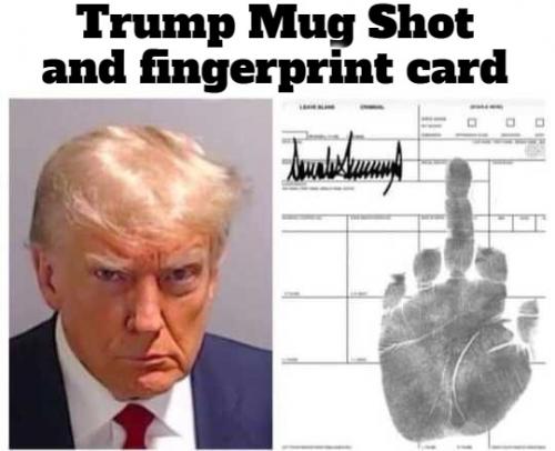 Trump mug shot and fingerprints card