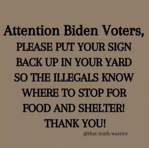 M Biden voters