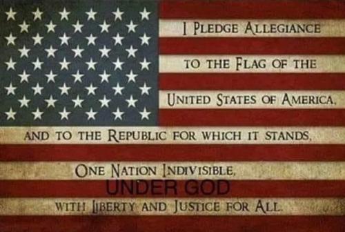 Pledge 5