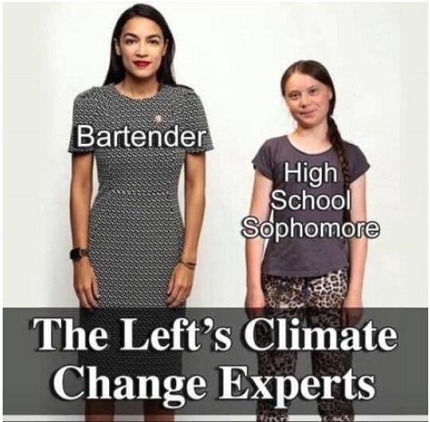experts