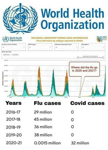 FLU COVID    TS