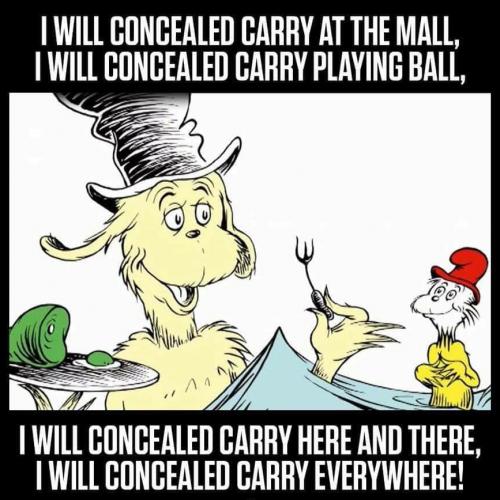 Cat in the hat - Concealed carry