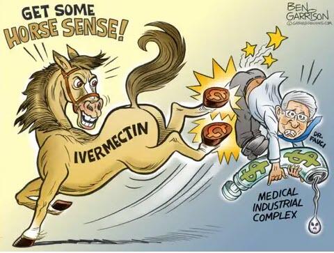 garrison-horse-sense