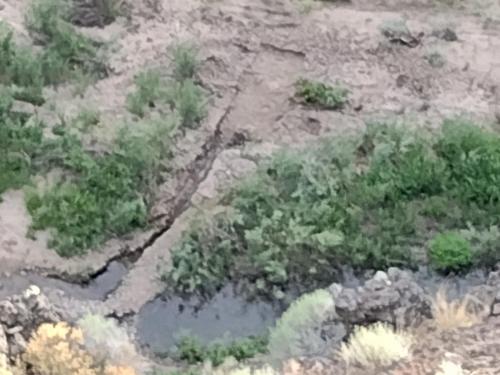 IMG_20230802_200326725