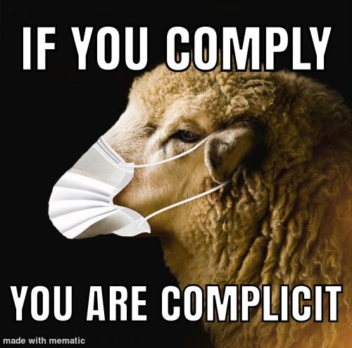 Mematic_20230824_191838