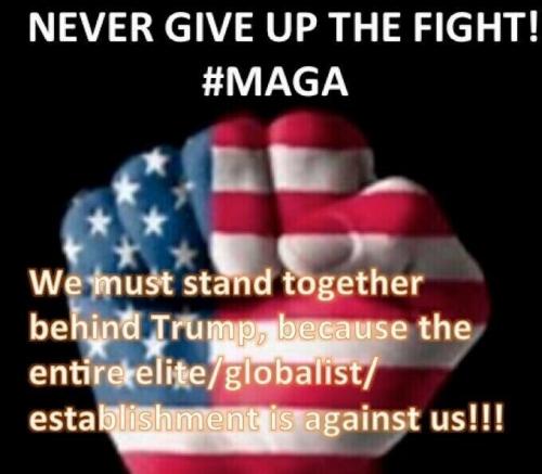NEVER GIVE UP THE FIGHT   TS