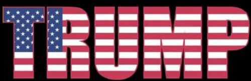 M Trump flag