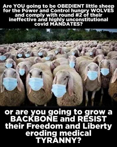 Sheeple