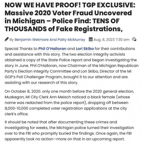 MI 2020 fraud