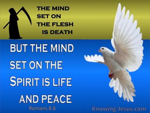 IMG_20230819_082654_692