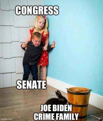 RO Biden crime family