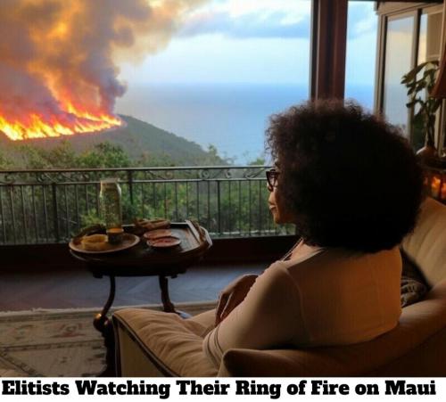 Elitists Watching Their Ring of Fire on Maui.960px