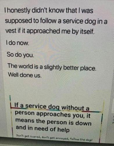 364051601_10161102106504391_4911164335105851653_n