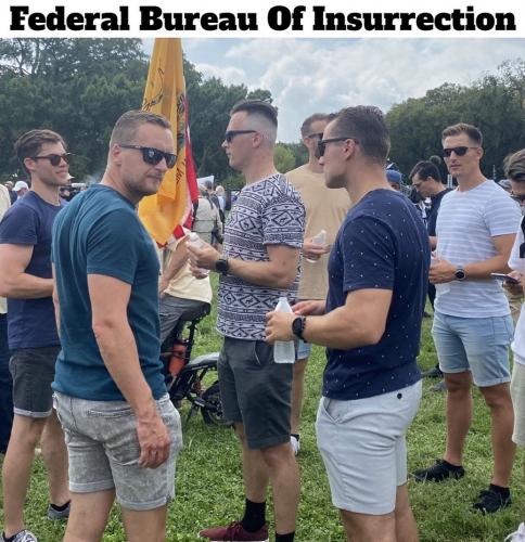 A nation can survive its fools 900px