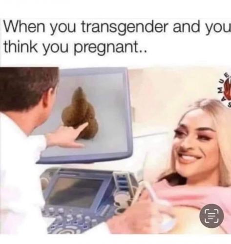 366080563_176556018774515_7316610503618651880_n