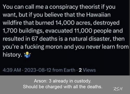 HI arson 2023