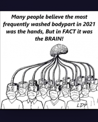THE BRAIN    TS