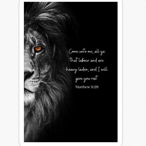 IMG_20230815_092643_098