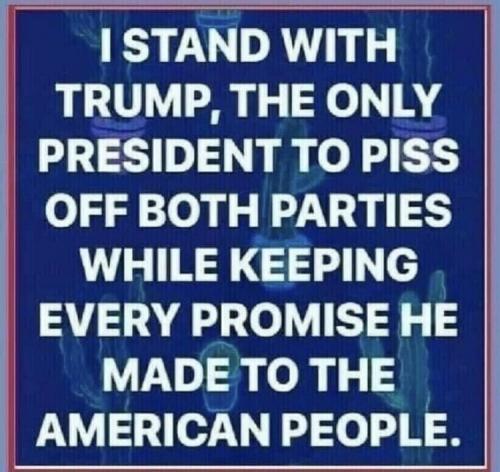 I STAND WITH TRUMP   TS