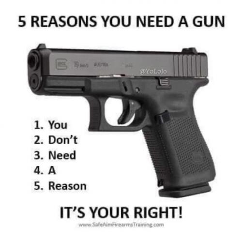 gun