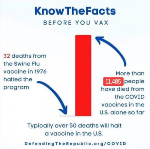 vax facts
