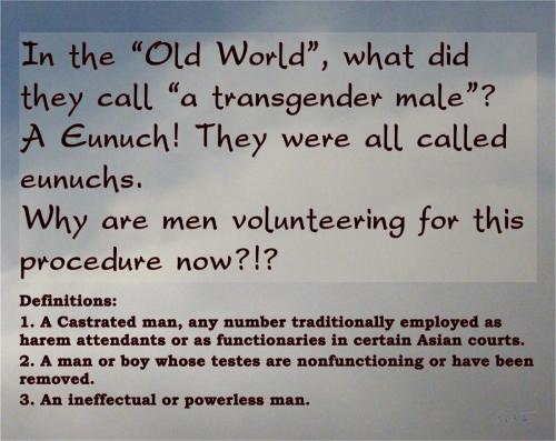 Old World vs New World