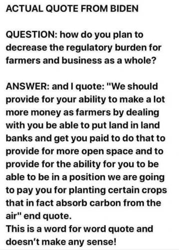 slow joe's mind in action