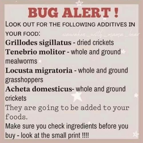 M bug alert