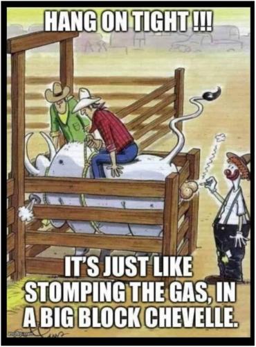 Screenshot_20230820-171552_Brave