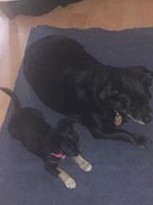 86776519_492546518334262_1609804826881818624_n