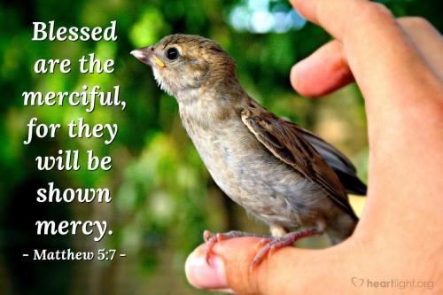 IMG_20230923_121033_336