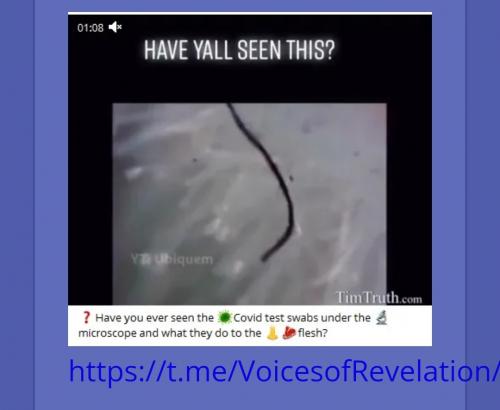 Screenshot_20230908_163737_Brave
