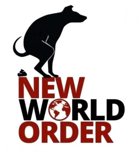 USA NWO