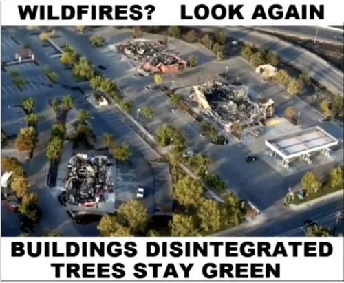 Maui Direct Energy  Weapon Fire ~Unburned Pine Tree Needles~ 3