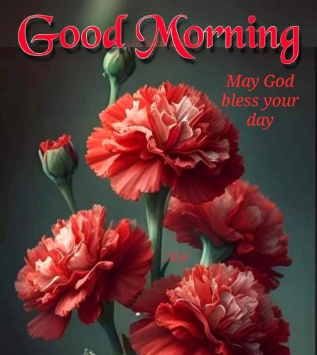 092623 - GM Red roses