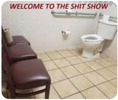 Screenshot_20230925-171201_Google