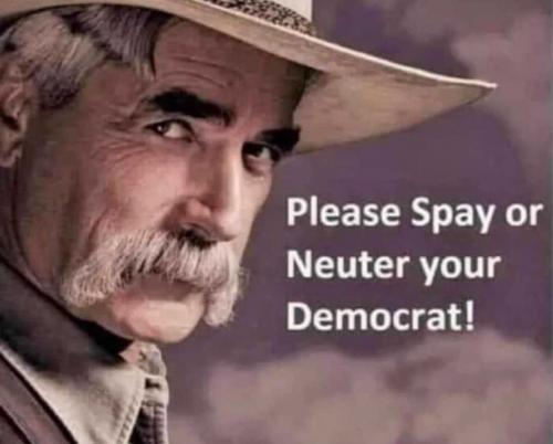 USA Please spay or neuter