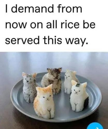 rice1