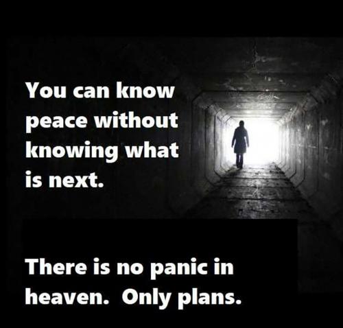 USA no panic only plans