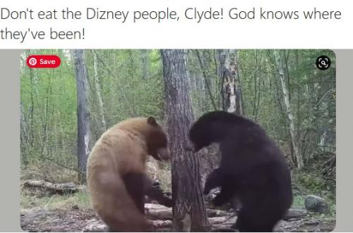 Bears-dont-eat-dizney