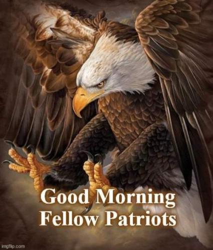Good morning Patriots