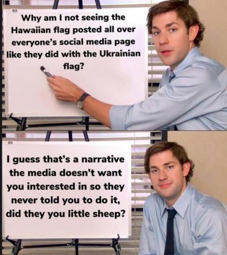 M little sheep