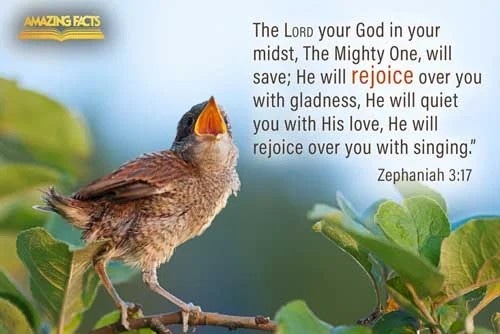 IMG_20230902_130418_231