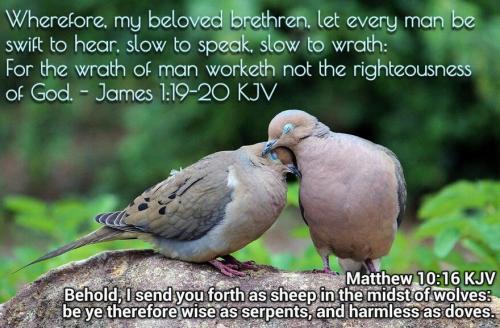 IMG_20230930_082424_102