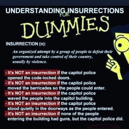 INSURRECTION IT'S NOT